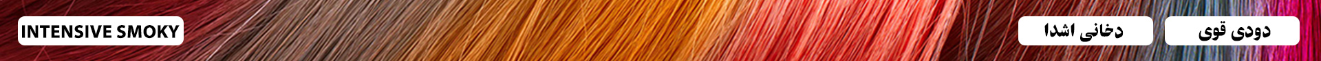 دودی قوی