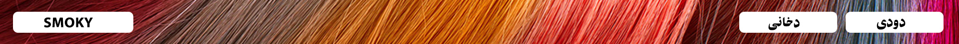 دودی